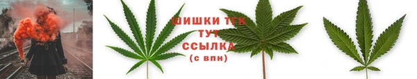 стаф Абдулино