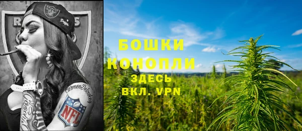 прущая мука Костерёво