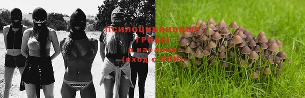 стаф Абдулино