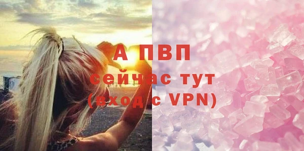 мяу мяу мука Абаза